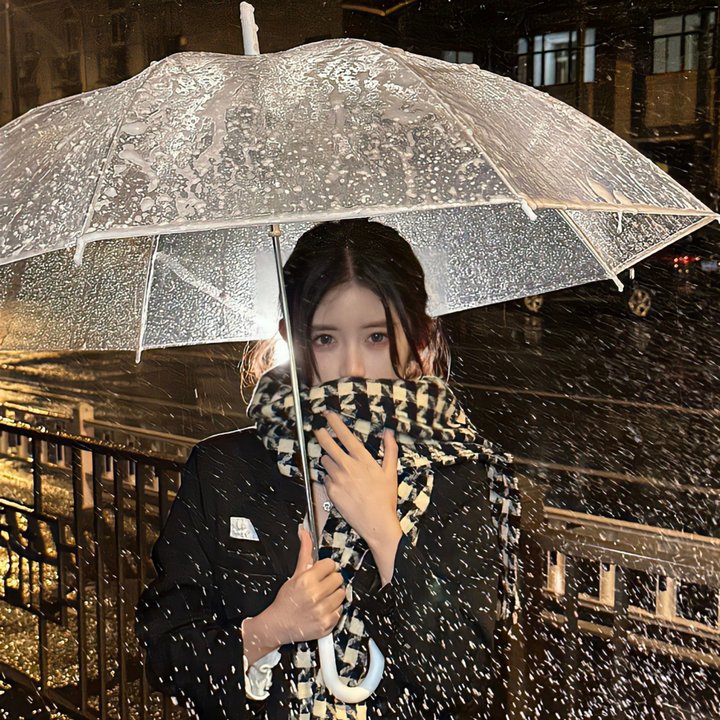 尼姆计划